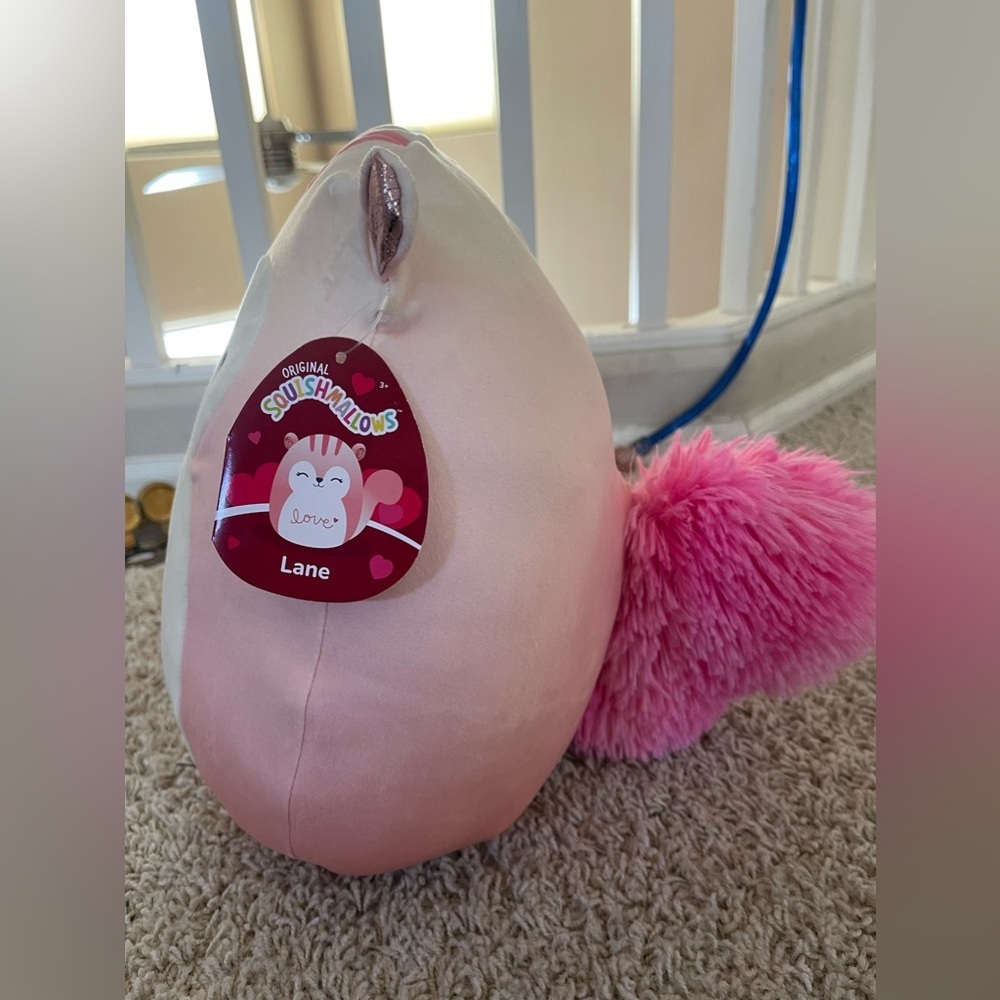 Original Squishmallow Lane the Squirrel 11” Plush Love Valentines 2023. EUC - Picture 3 of 8